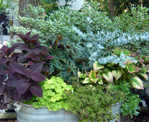 Planter with arrangement of colored foliage
